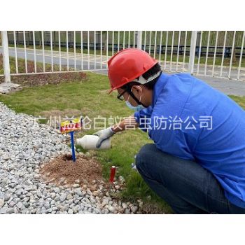 海珠红火蚁防治工程